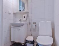sink, wall, indoor, bathroom, toilet, plumbing fixture, tap, bathtub, shower, bathroom accessory